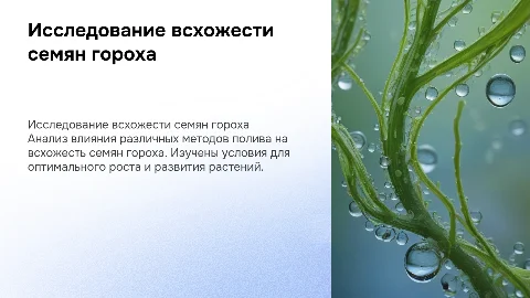Исследование всхожести семян гороха и методов полива
