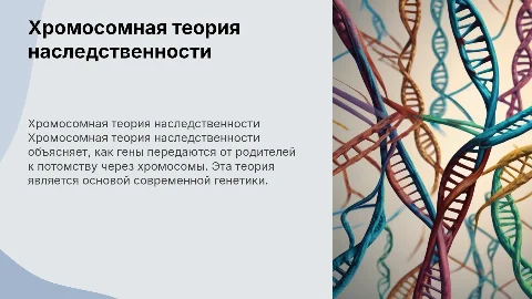 хромосомная теория наследственности доклад