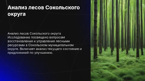Анализ воспроизводства лесов в Сокольском округе