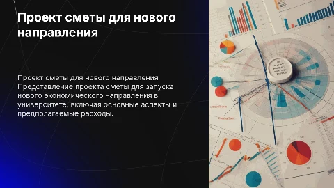 Проект сметы для нового экономического направления университета