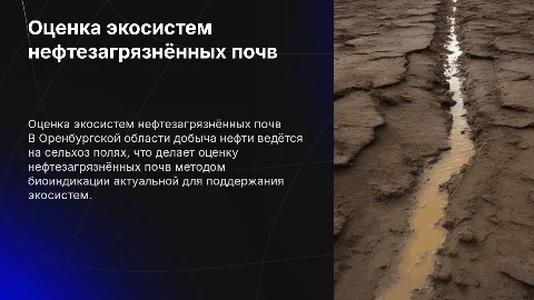 Оценка экологической ситуации нефтезагрязнённых почв