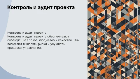 Контроль и аудит проекта