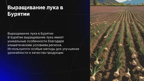 Выращивание лука в Бурятии