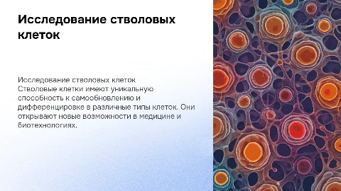 стволовые клетки