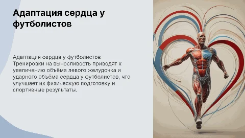 Адаптация сердца к тренировке выносливости у футболистов