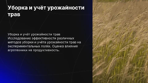 Уборка и учёт урожайности трав в полевом опыте
