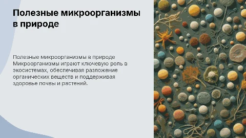 Полезные микроорганизмы