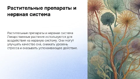 Лекарственно растительные препараты и нервная система
