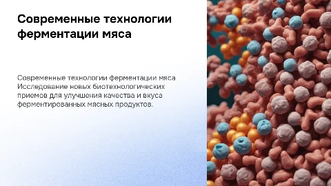 Совершенствование технологии ферментированных продуктов из мяса