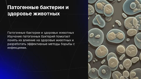 Основы микробиологии: Патогенные бактерии и их роль