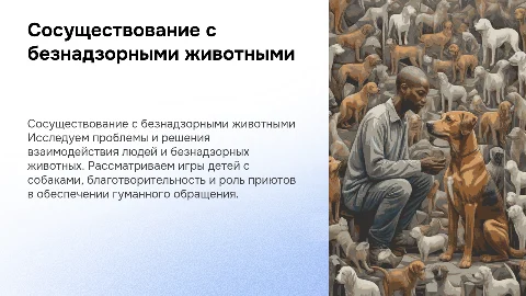 Решение проблем сосуществования людей с безнадзорными животными