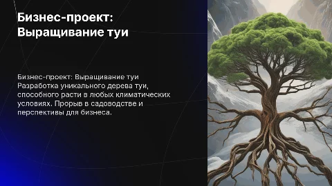 Бизнес проект по выращиванию дерева туи в любых условиях