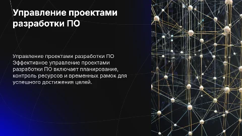 управление проектами разработки программного обеспечения