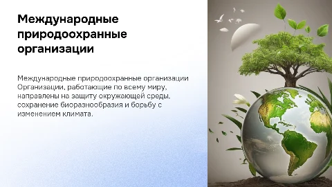 Международные природоохранные организации