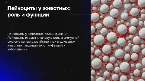 Презентация по лейкоцитам в крови у животных