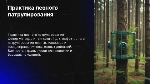 Практика леса отводы патрулирование