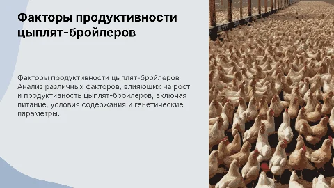 Анализ факторов продуктивности цыплят-бройлеров