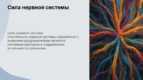 Сила нервных процессов и адаптация нервной системы