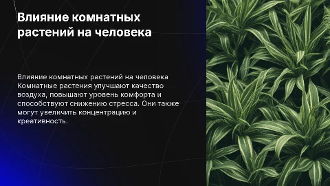 Как комнатные растения влияют на человека