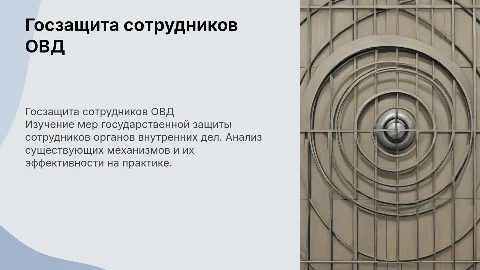 Реализация мер государственной защиты сотрудников ОВД