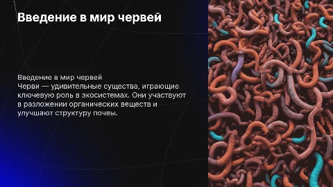 Тема презентацие про червей, по биологии