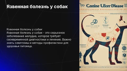 Язвенная болезнь собак
