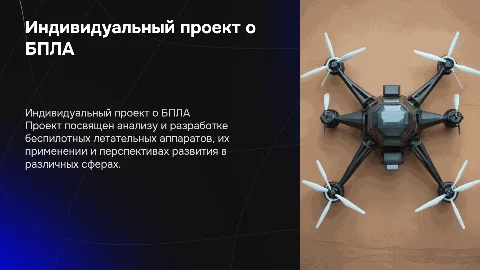Индивидуальный проект на тему БПЛА