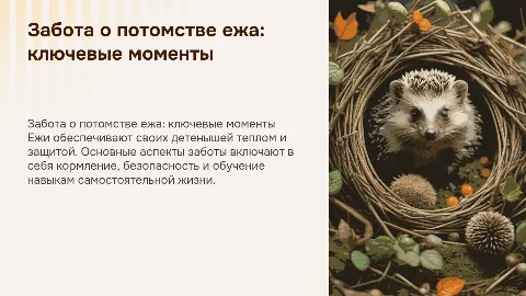 Забота о потомстве ежа