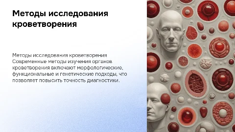 Методы исследования органов кроветворения