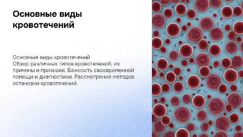 Виды кровотечений