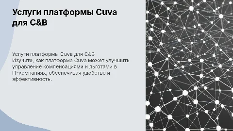 Презентация услуг платформы Cuva для менеджеров C&B в IT