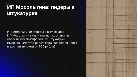 ИП Мосолыгина: лучшая компания по механизированной штукатурке