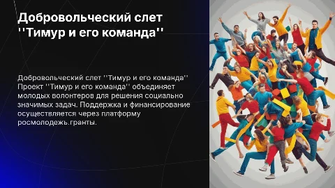 Добровольческий слет "Тимур и его команда" проект росмолодежь.гранты