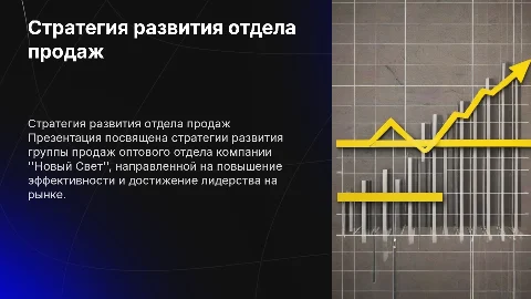Стратегия развития группы продаж оптового отдела "Новый Свет"