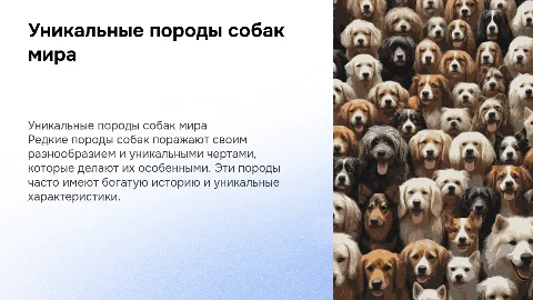 редкие породы собак