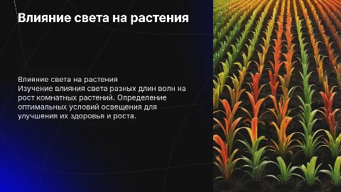 Влияние света разной длины волны на рост комнатных растений