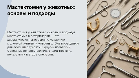 Мастектомия в ветеринарии
