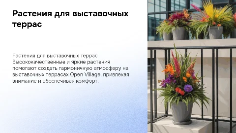 Высококачественные растения для выставочных террас Open Village