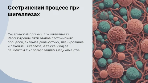 Сестринский процесс при шигеллезах: этапы и лечение