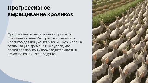 Прогрессирующий метод выращивания кроликов на мясо и шкуру