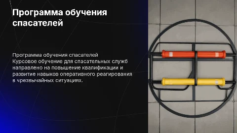 Примерная программа курсового обучения спасательных служб