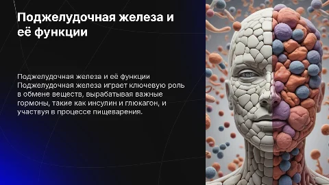 Поджелудочная железа: функции и строение гормонов