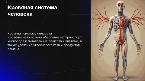 Кровяностная система 9 класс биология
