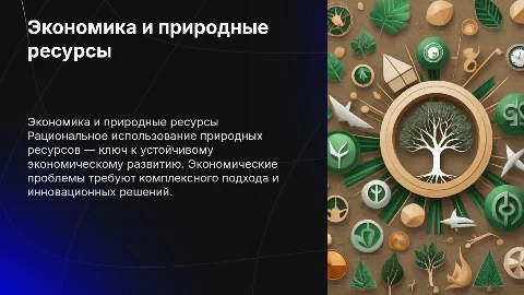 Экономические проблемы рационального использования ресурсов
