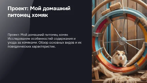 проект мой домашний питомец хомяк
