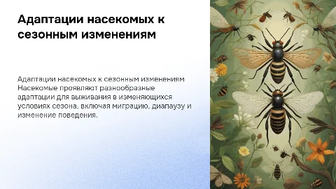 Презентация по биологии: Адаптации насекомых к сезонам