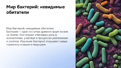 бактерии