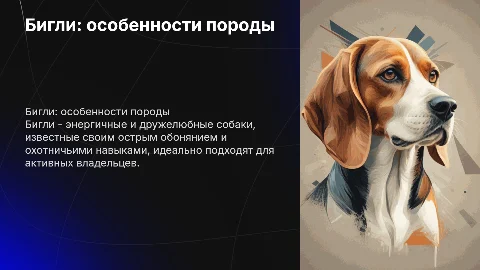 бигли и их особенности