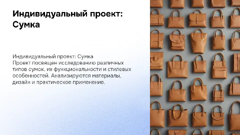 Индивидуальный проект на тему "сумка"