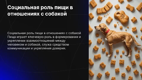 Социальная роль пищи кормление взаимоотношение человека и собаки